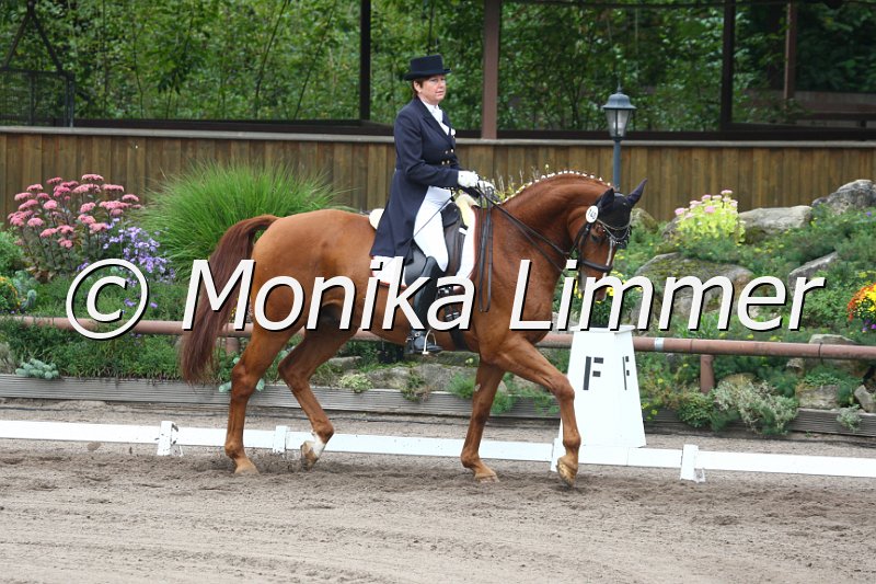 009M9434_Wolkenstuermer_Dressur S_St. Georg.JPG